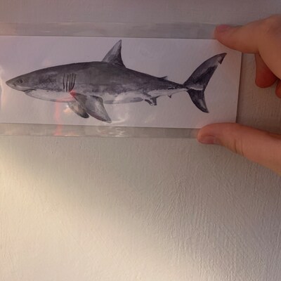 PRINTABLE Daisy Art Print Graphite Pencil Drawing Botanical - Etsy