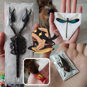 AiloMailo added a photo of their purchase