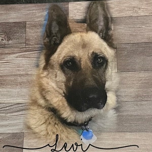 Custom Dog Memorial Passing Gift Pet Loss Frame Portrait Photo Canvas ...