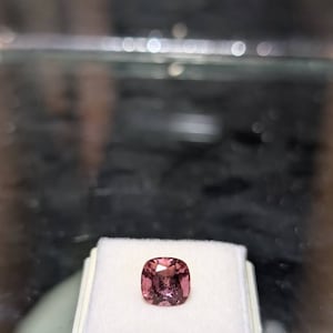 Arashi added a photo of their purchase