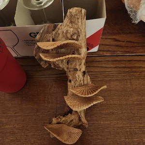Holly hat ein Foto des gekauften Artikels hinzugefügt