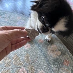mermaid added a photo of their purchase