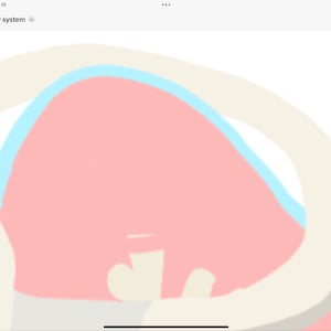 All added a photo of their purchase