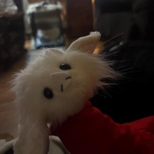 コウモリのぬいぐるみ、アルビノコウモリ、ぬいぐるみ - Etsy 日本