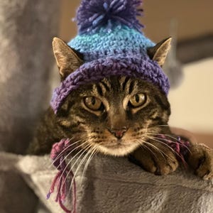 Crochet Cat Hat Pattern, Quick and Easy Crochet Pattern for