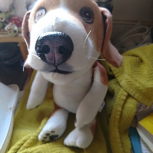 Pamela added a photo of their purchase