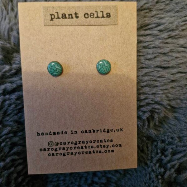Plant Cell Key Chain - Key Ring - Cell Biology, Biology Gift, Key Chain ...