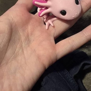 Savannah added a photo of their purchase