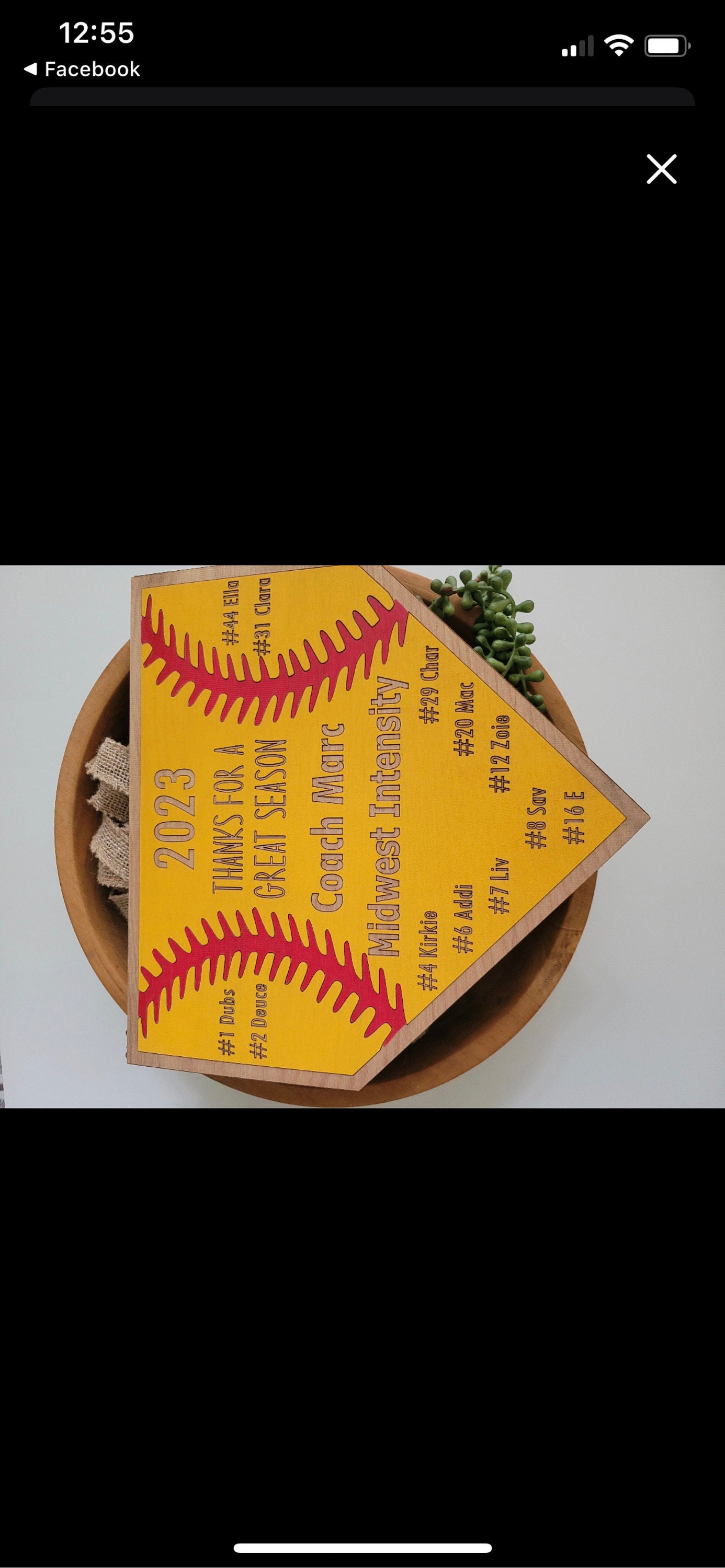 SOFTBALL COACH GIFT + Softball Plaque + Coach Plaque + End of Season Gift + Personalized Gift