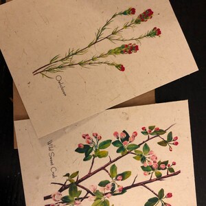 Erica added a photo of their purchase