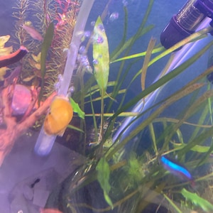 Fee added a photo of their purchase