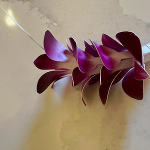 Charmel a ajouté une photo de son achat