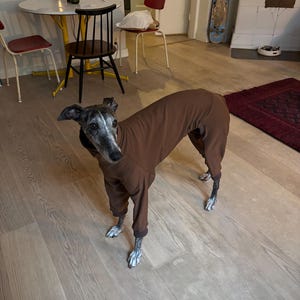 Polly added a photo of their purchase