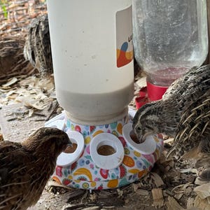 Dominique a ajouté une photo de son achat
