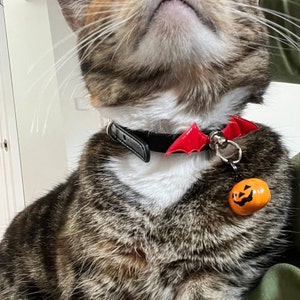 Satanic cat collar cheap