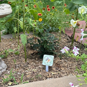 Theresa added a photo of their purchase