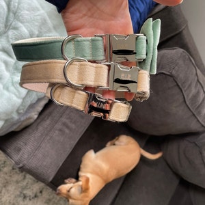 Maggie added a photo of their purchase