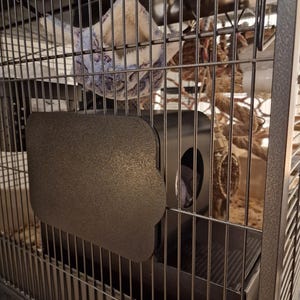 Terhi added a photo of their purchase