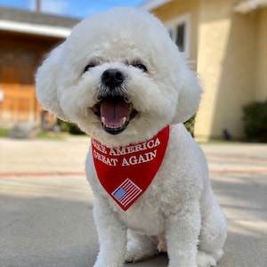 Tony added a photo of their purchase
