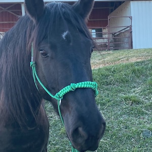Rhonda added a photo of their purchase
