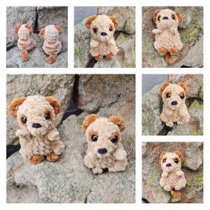 Penny added a photo of their purchase