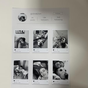 שיר added a photo of their purchase