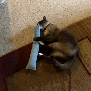 Whitney added a photo of their purchase