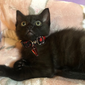 Evita added a photo of their purchase