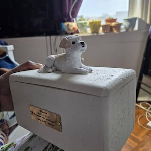Jen added a photo of their purchase