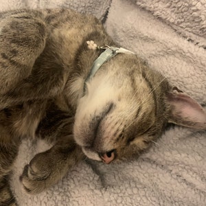 August added a photo of their purchase