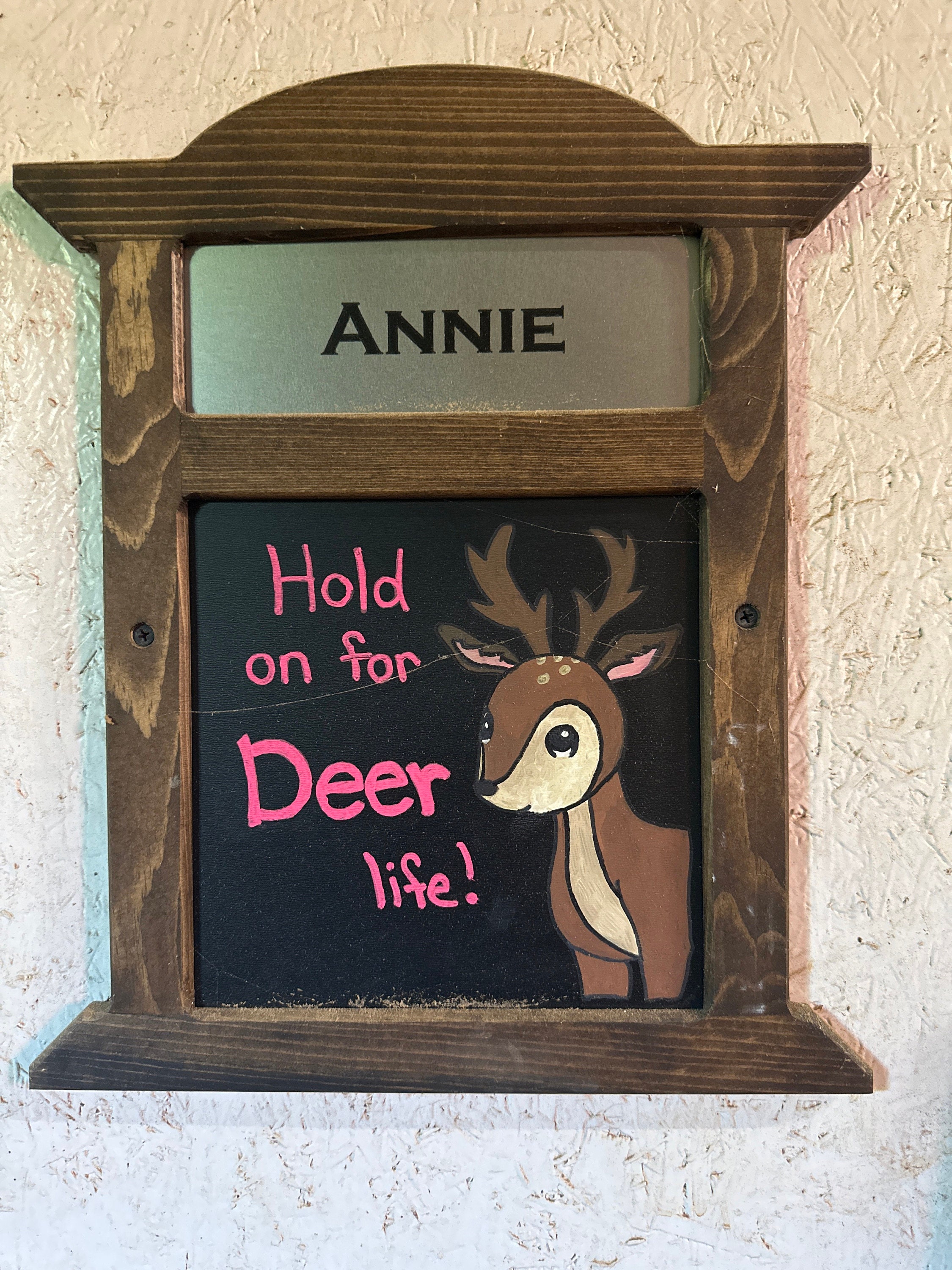 Horse Stall Sign, Equine Name Plaque, Horse Barn Sign, Stable Decor, Horse Name Plate, Chalkboard or Dry Erase Board, Feeding Instructions