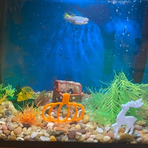 Masooma added a photo of their purchase