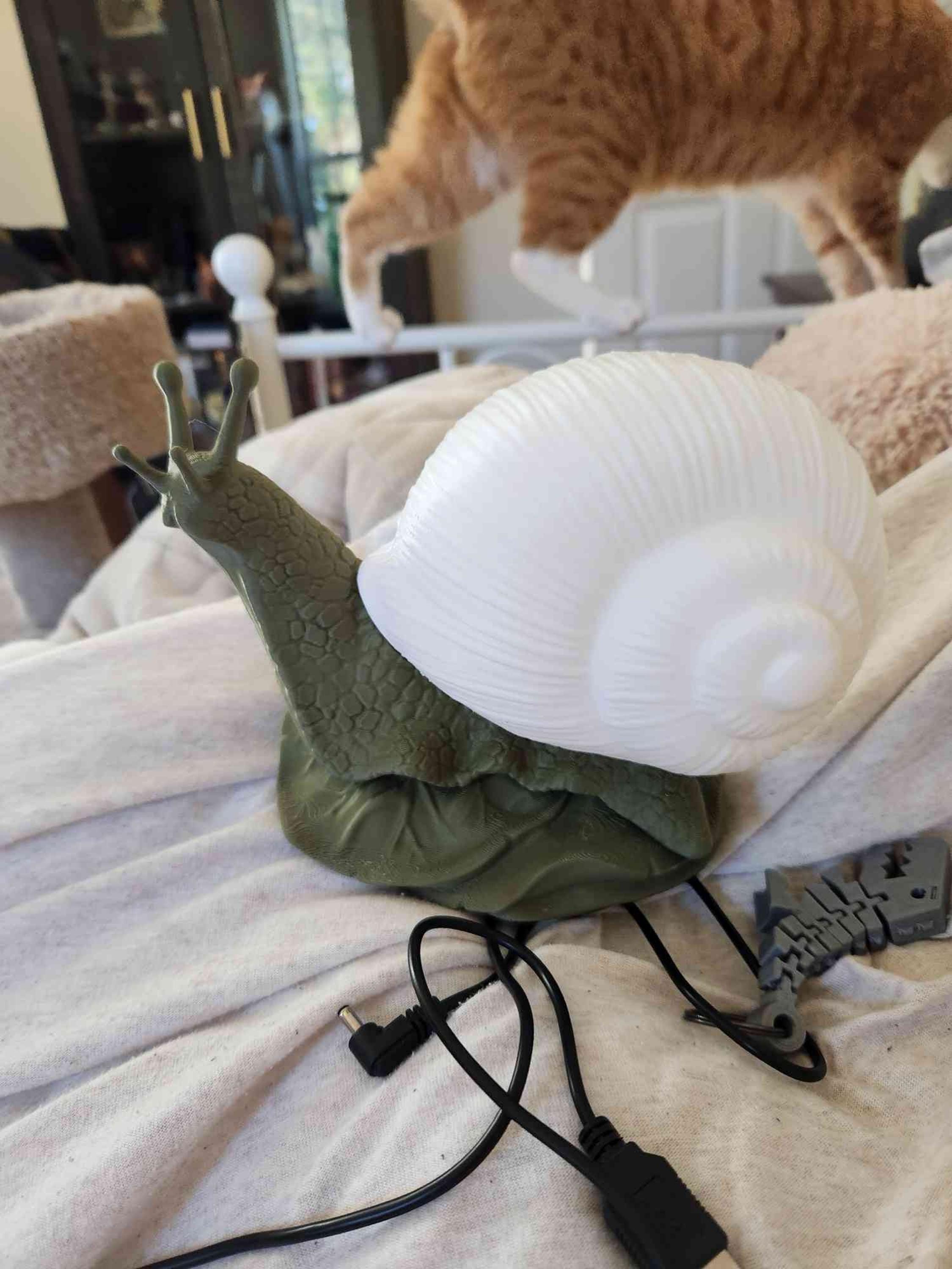 Bright Snail Lamp, 3d Snail Lamp, Desk Decoration, Office decoration, Custom Lamp, Snail Light, Cottagecore Lamp
