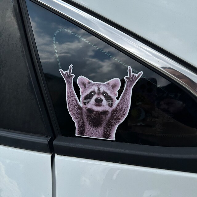 Funny Rocking Raccoon Sticker Vinyl Car Bumper Decal