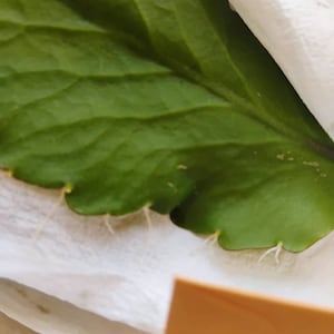 Charline ha añadido una foto de su compra