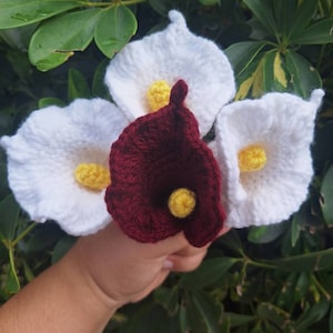 Yoely added a photo of their purchase