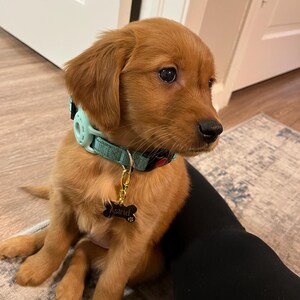 Allie さんが購入した商品の写真を追加しました