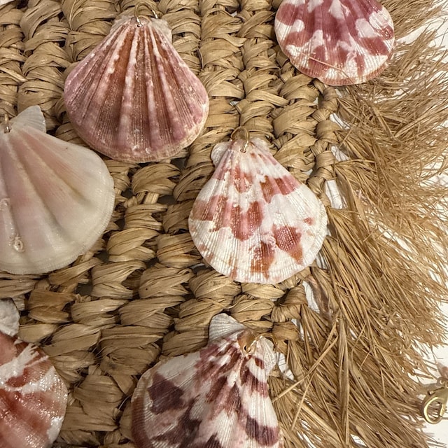 ストロベリーホタテ貝殻 | ピンクと白のプリケートクラフト貝殻 | 海岸