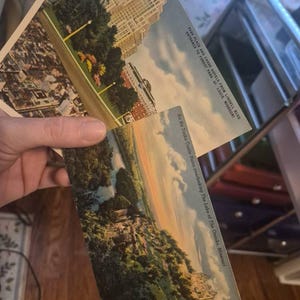 Grace hat ein Foto des gekauften Artikels hinzugefügt