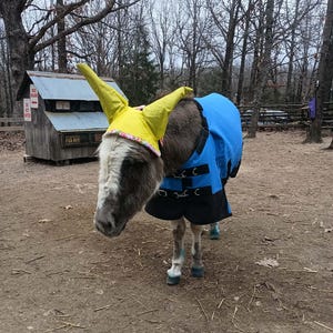 Candice added a photo of their purchase