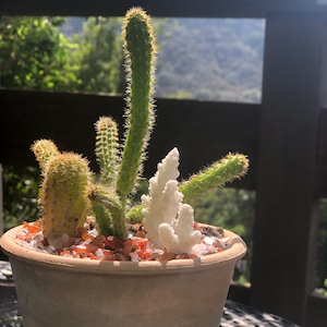 angela added a photo of their purchase