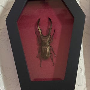 kait added a photo of their purchase