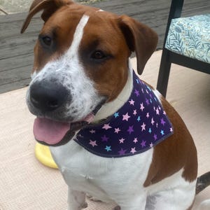 Kelli added a photo of their purchase