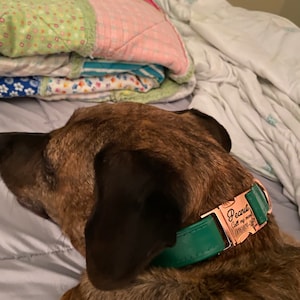 Abby ha añadido una foto de su compra