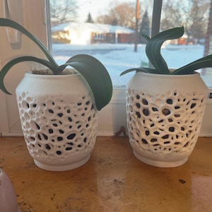 Deb added a photo of their purchase