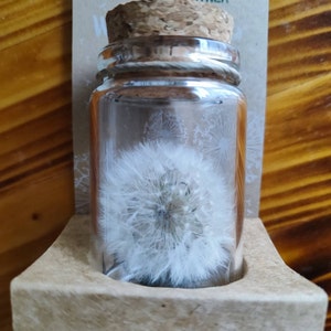 Alex added a photo of their purchase