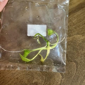 tony added a photo of their purchase