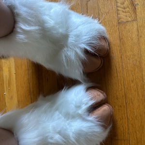 Lily added a photo of their purchase