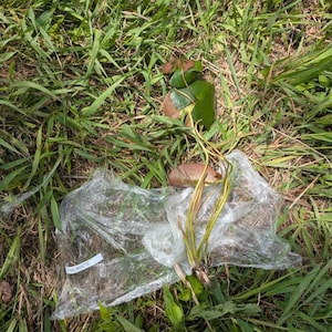 Comprador de Etsy ha añadido una foto de su compra