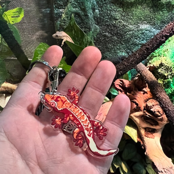 Crested Gecko Acrylic Keychain - Etsy